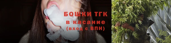 стаф Снежинск