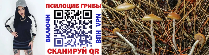 Псилоцибиновые грибы прущие грибы  купить наркотик  Волхов 