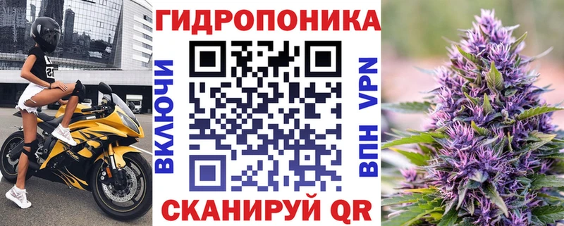 Бошки Шишки Bruce Banner  как найти закладки  Волхов 